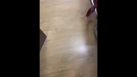 Tùng sói đáng yêu quá :)))