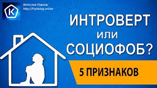 5 отличий Интроверта от Социофоба! Признаки и тест