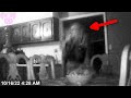 Unsettling Footage Captured on Camera