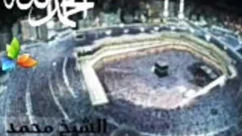 سورة العاديات،، الشيخ محمد المحيسني
