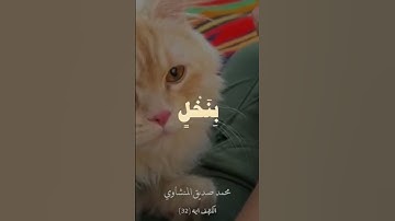 #quran #اكسبلور #المصحف #foryou #الرحمن #القرآن_الكريم #لايك #ترند #تلاوة_خاشعة