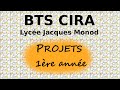 Projet cira1 12h