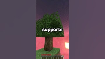 NOOB Plays Minecraft Skyblock Challenge! Crossplay #minecraft #smp#bedrock#console #mcpe #crossplay