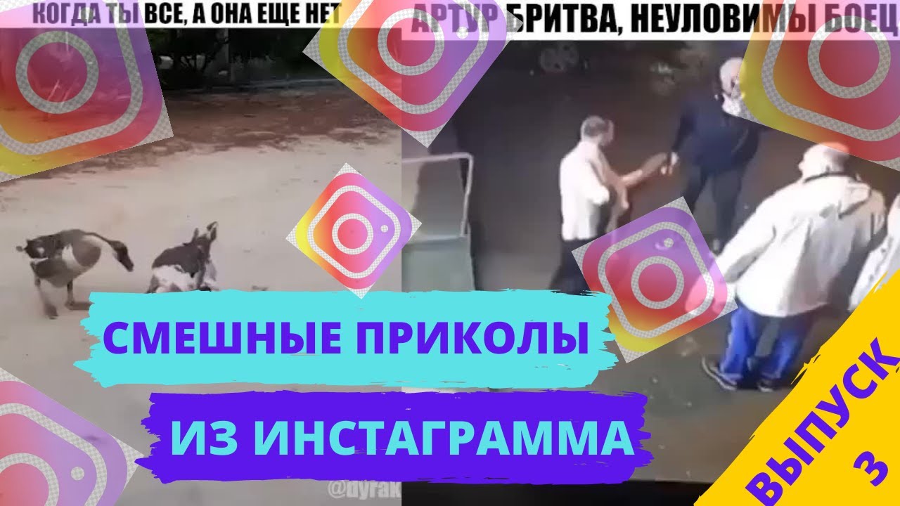 Инстаграм смешное видео