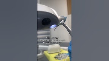 صوت يريح القلب | تلاوة عذبة من القرآن الكريم