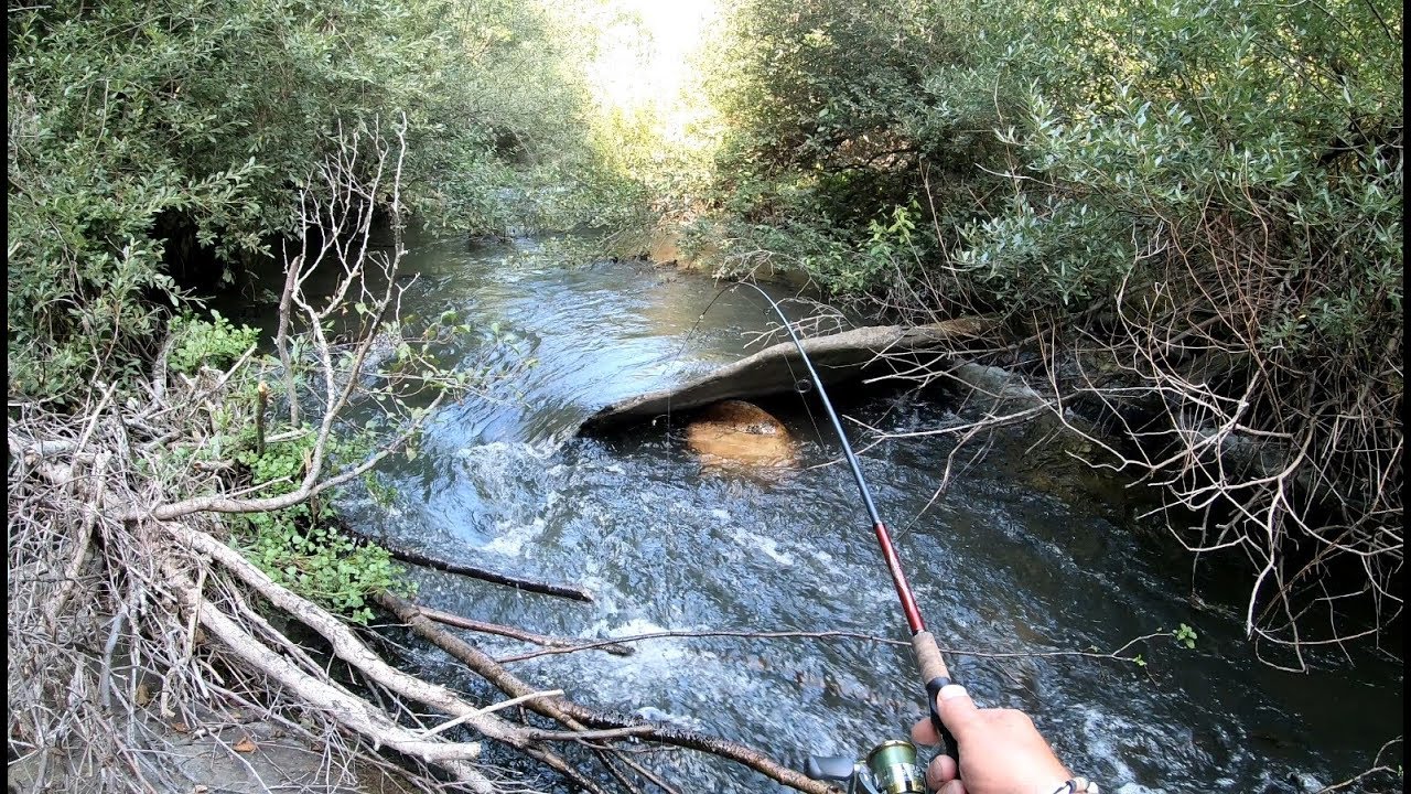 Ultima jornada de pesca en Río de montaña 2019/ tarde muy épica pescando a la leonesa