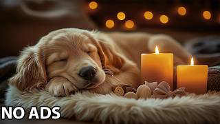 12 Hours Dog Calming Music 🐶 Dog Anxiety Music - Dog Soothing Audio For Relaxed Pets screenshot 5