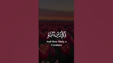 ٱلَّذِينَ صَبَرُواْ وَعَلَىٰ رَبِّهِمْ يَتَوَكَّلُونَ...#سورة_النحل #ماهر_المعيقلي #تلاوات
