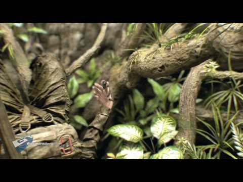 Vídeo: Ubisoft Pega World In Conflict