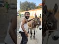 😂😂😂😂😂😂🤣🤣🤣🤣🤣😎😘❤️😀 #funny #automobilevideo