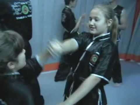 Martial Arts - Kung Fu - Block Techniques by Master Senna