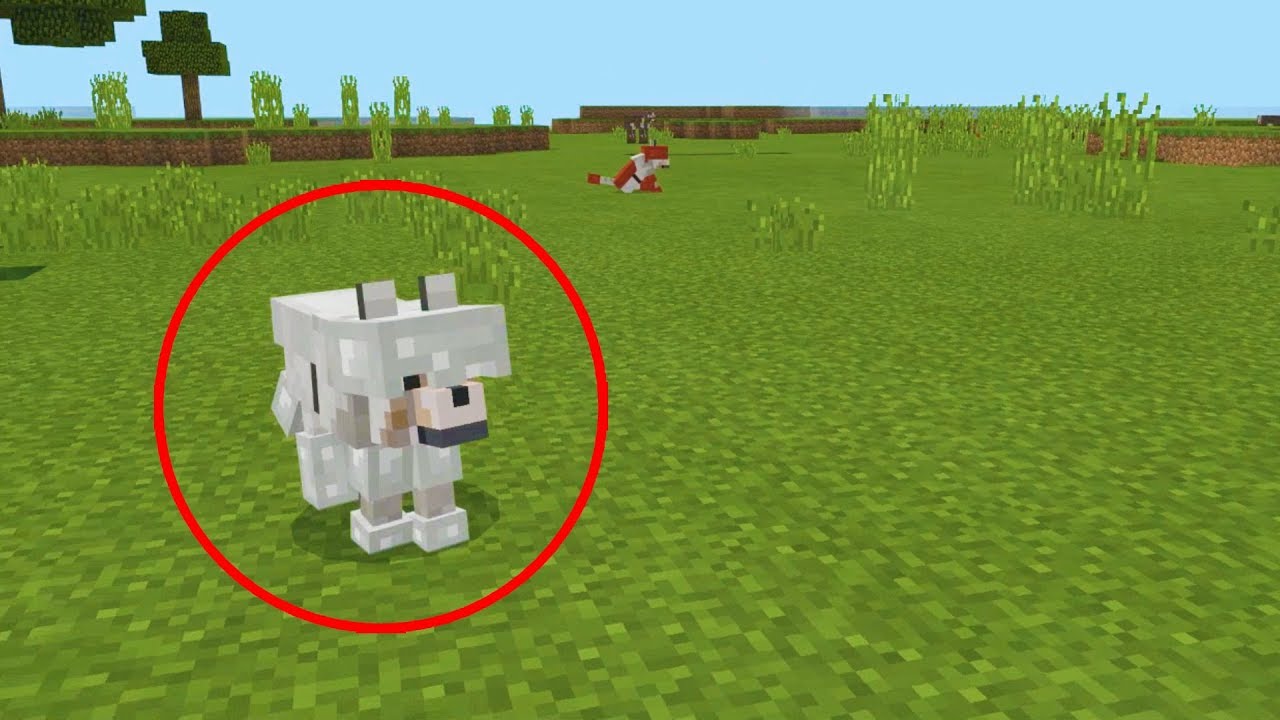 How To Spawn A Wolf In Minecraft