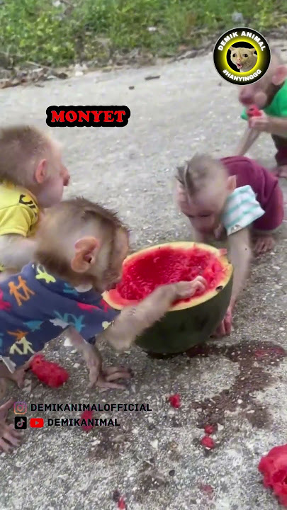 VERY LIGHT IN THE HANDS #shorts