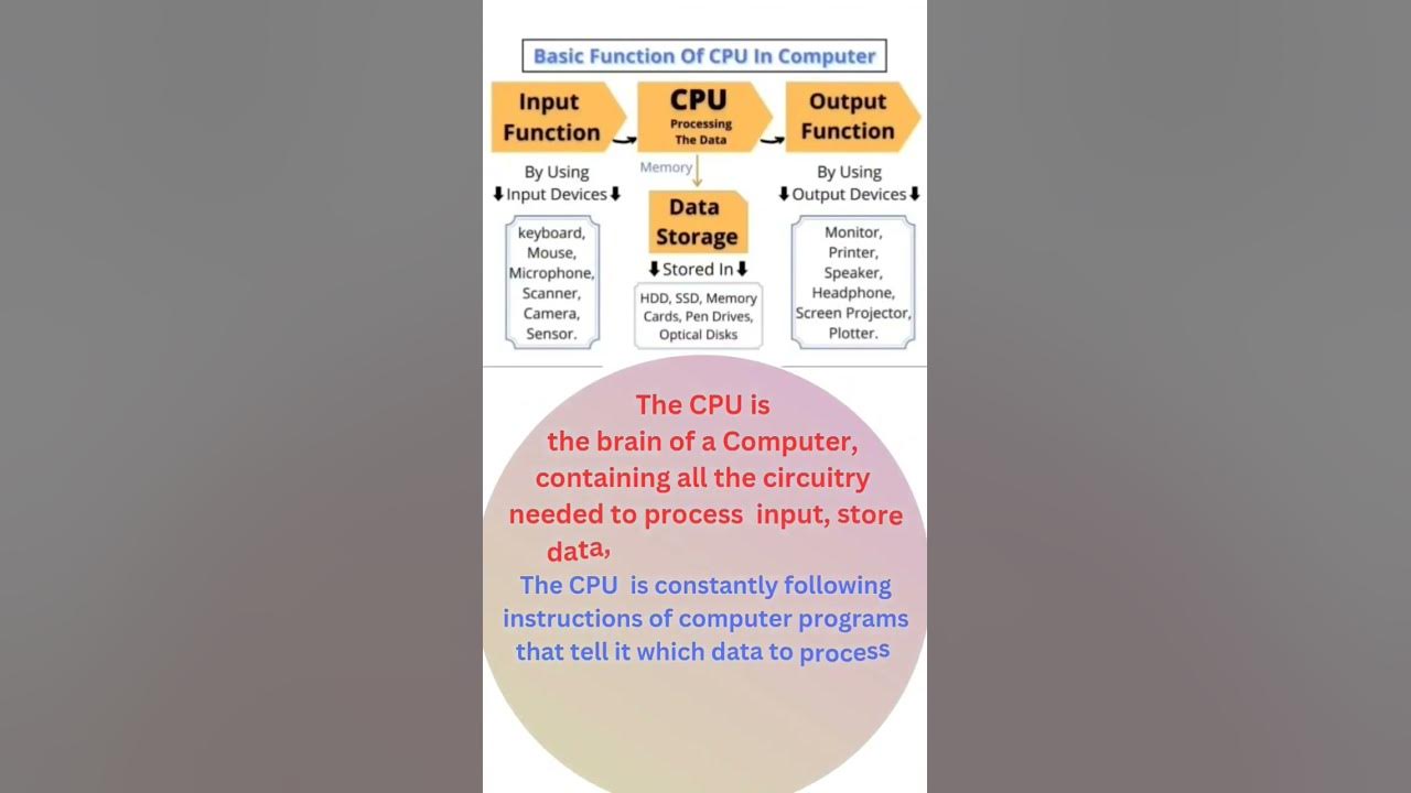 Basic Functions Of CPU In Computer shortsvideo shorts short basic-functions-of-cpu-in-computer-shortsvideo-shorts-short