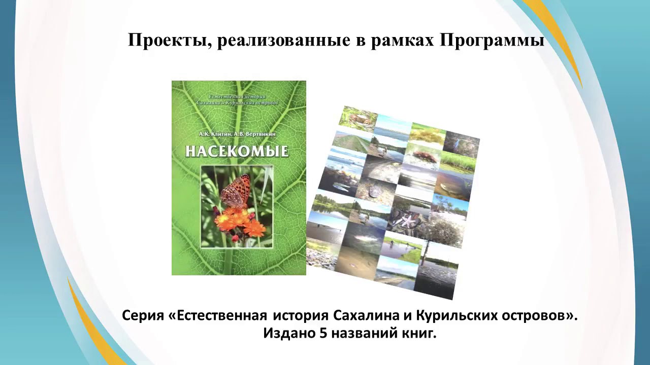 Проекты
