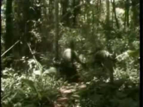 Fierce Vietnam Combat Footage