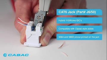CAT6 Jack + Termination Tool