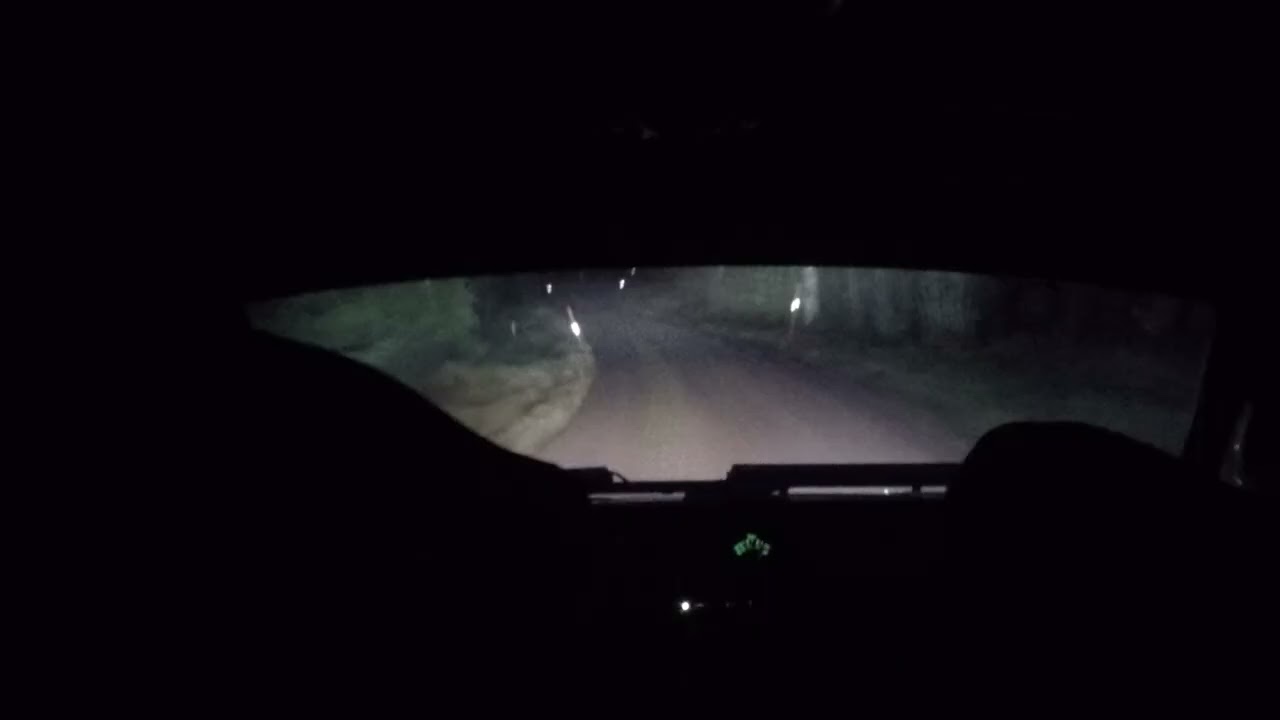 Novemberskölden 2025 SS4 Niclas Melin