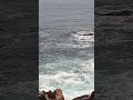 🌊