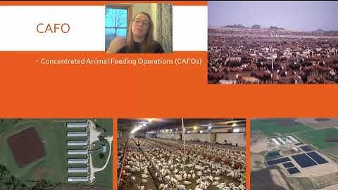 AP Env Sci Topic 5.7 Meat Production Methods