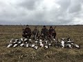 Охота на гуся в Беларуси 21.03.20. Гусь 2020. Goose hunting.