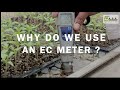 EC METER (EP.1) &quot;why to we use&quot; I Agri Solutions Asia