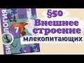 Краткий пересказ §50 Внешнее строение млекопитающих. Биология 7 класс Константинова Бабенко