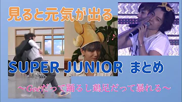 スーパージュニア 面白い Mp3