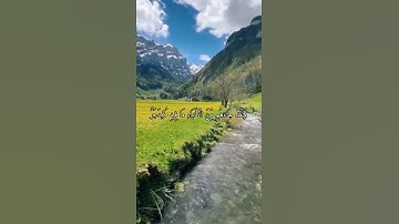 واتس اب قران كريم القارئ إسلام صبحي من سورة (القمر)