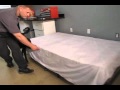 Bed Bug Dog Detection Training Center, Serving NJ, NYC, Philly