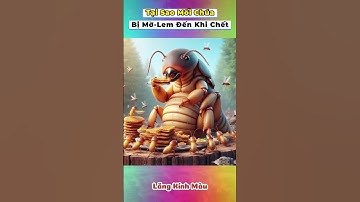 Tại Sao Mối Chúa Bị Mờ-Lem Đến Lúc Ch.ế.t #animals #khampha #bian