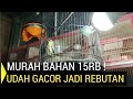 BAHAN MURAH ! GACOR JARANG ADA CUMAN MAS INI YANG PUNYA