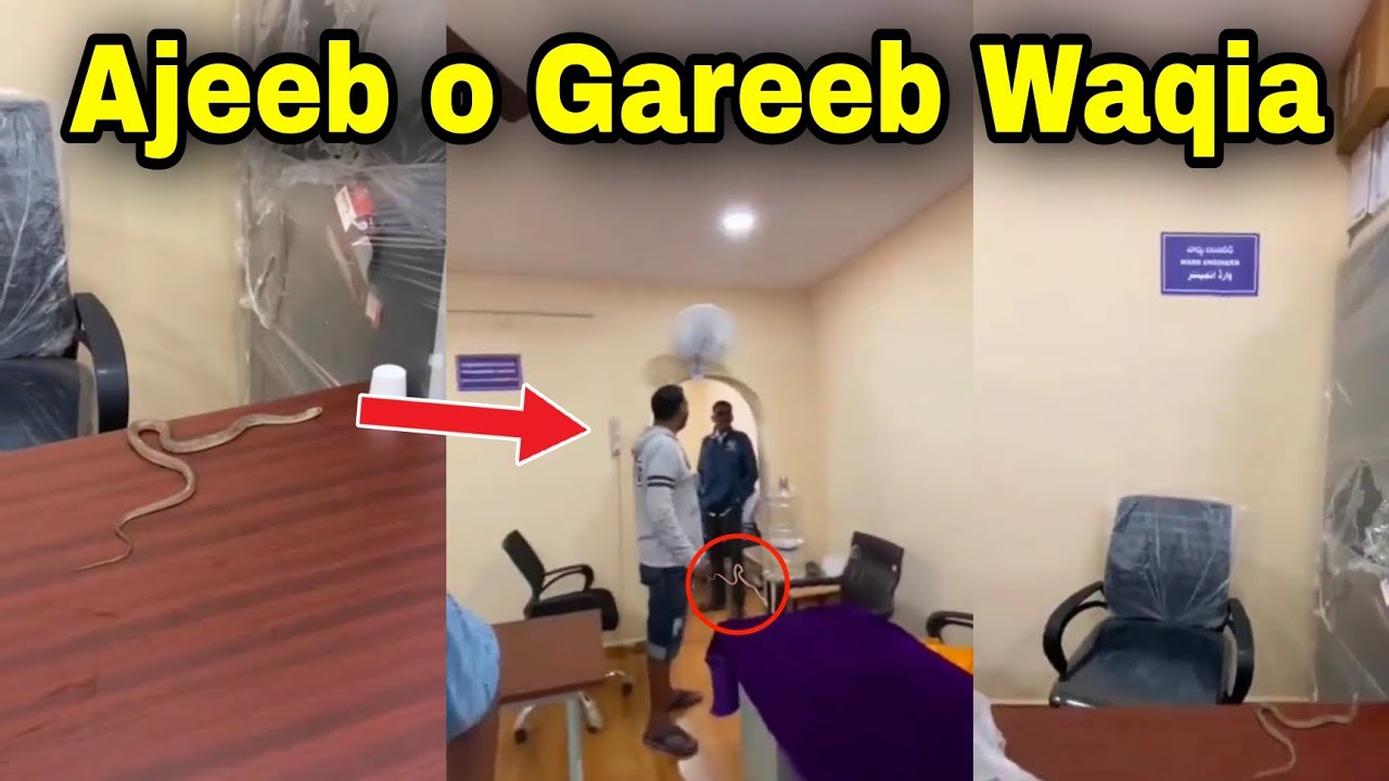 Hyderabad GHMC Ward Office Me Anokha Ehtejaaj | 