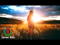 Roald Velden & EcueD - Moments (Lessov Remix)