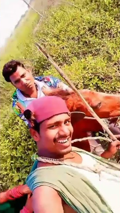 नैना तोहार कजरा । बंशीधर चौधरी के सबसे अलग अंदाज में । Banshidhar Chaudhari ke super hit song 2022