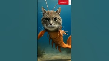 Thumbnail of tripi tropi tripa tropa berubah jadi robot ikan #brainrot #anomali #dontol #shorts