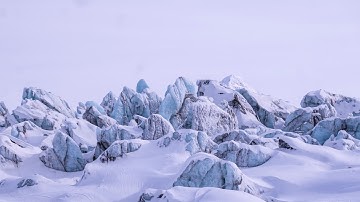 From commitment to corporate action: Progress and challenges in implementing climate action