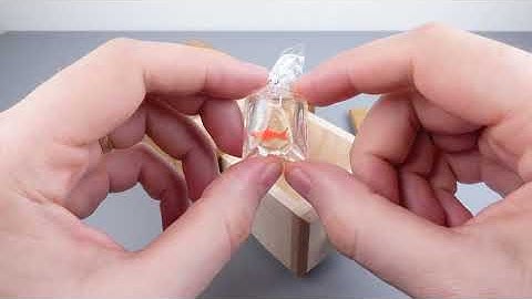 Noodling Box Solution - Cubic Dissection & Eric Fuller - Sequential Discovery Puzzle