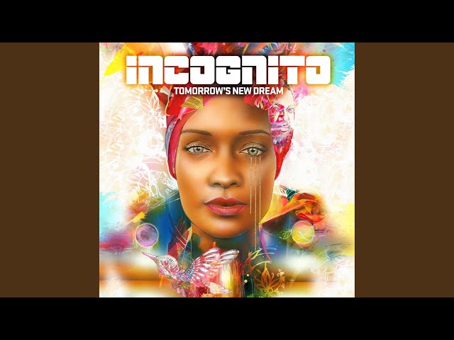 Incognito - Haze Of Summer