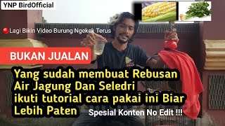 DR. OZ - Manfaat Dari Jagung