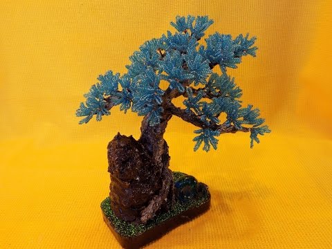 Video: Bonsai - 2