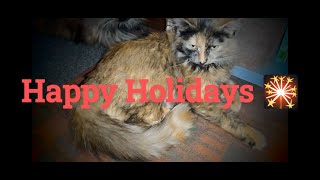 Happy Holidays 2024 from Captain Unusual / Pro-Pet PSA