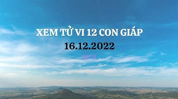 Xem tử vi thứ 6 ngày 16/12/2022 của 12 con giáp : AI TIỀN ĐỔ VỀ TÚI ẦM ẦM