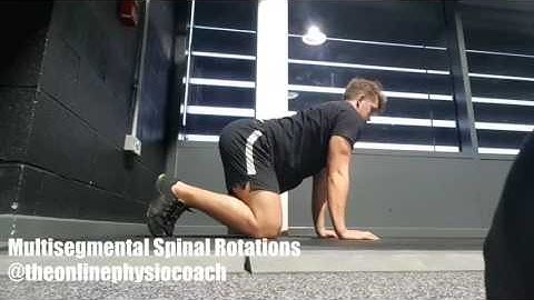 Multisegmental Spinal Flexion/Extension