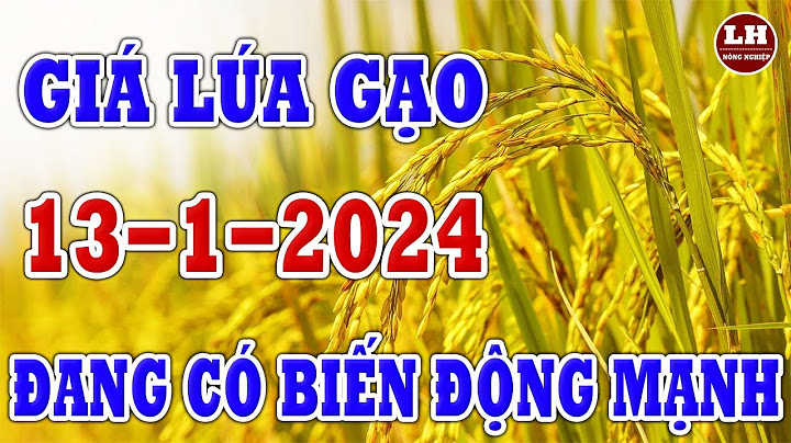 1 tấn lúa thải ra bao nhiêu nồng độ bụi năm 2024