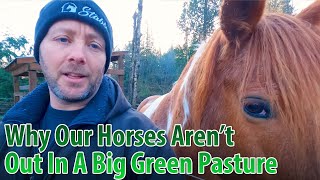 Why Our Horses Arent Out In A Big Green Pasture - Horse Feeding Practices