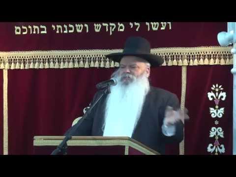 והיה כעץ שתול | סדרת עוצמת התורה | הרב דניאל זר