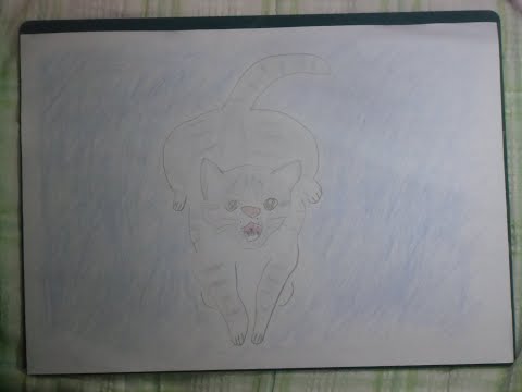 猫のナナさん // Nana the cat #eテレ0655,#あたしねこ,#drawing,#cats