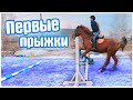 Один День из Жизни КОННИКА / Первые прыжки  KonoVLOG