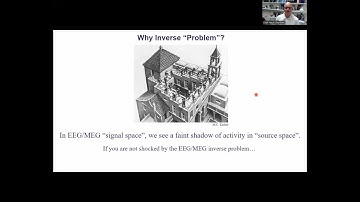 The EEG/MEG inverse problem